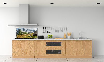 Rivestimento parete cucina con motivo Pascoli dei Monti Tatra