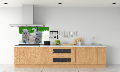 Pannello retrocucina con stampa raffigurante tre gatti su una coperta