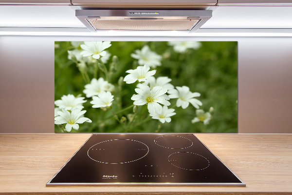 Pannello paraschizzi cucina con motivo di fiori primaverili