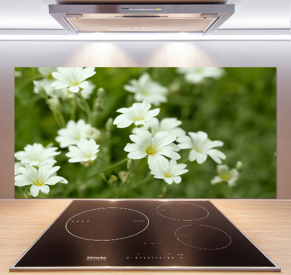 Pannello paraschizzi cucina con motivo di fiori primaverili