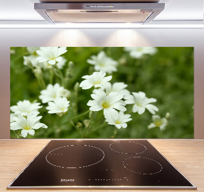 Pannello paraschizzi cucina con motivo di fiori primaverili