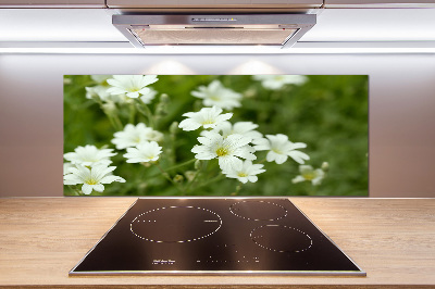 Pannello paraschizzi cucina con motivo di fiori primaverili