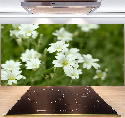 Pannello paraschizzi cucina con motivo di fiori primaverili