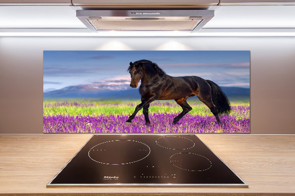 Pannello paraschizzi cucina con stampa raffigurante un cavallo in un campo di lavanda