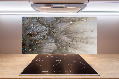 Pannello paraschizzi cucina con motivo a semi di tarassaco