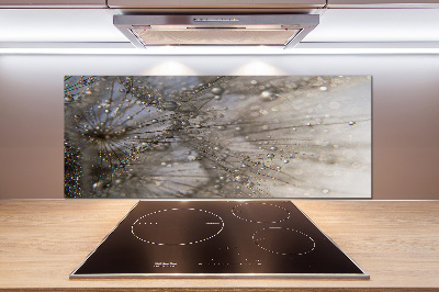 Pannello paraschizzi cucina con motivo a semi di tarassaco