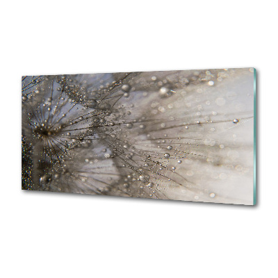 Pannello paraschizzi cucina con motivo a semi di tarassaco