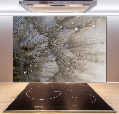 Pannello paraschizzi cucina con motivo a semi di tarassaco