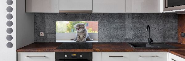 Rivestimento parete cucina con stampa di un gattino vicino alla finestra