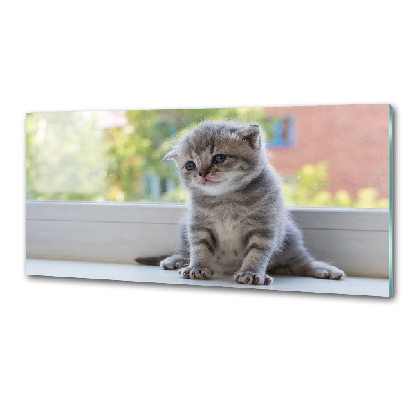 Rivestimento parete cucina con stampa di un gattino vicino alla finestra