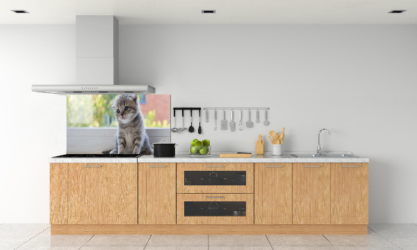 Rivestimento parete cucina con stampa di un gattino vicino alla finestra