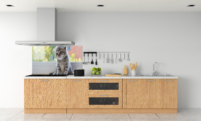 Rivestimento parete cucina con stampa di un gattino vicino alla finestra