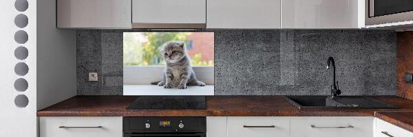 Rivestimento parete cucina con stampa di un gattino vicino alla finestra