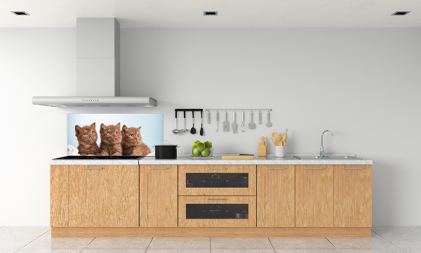 Pannello paraschizzi cucina con stampa di gattini su un asciugamano