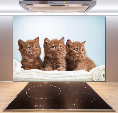 Pannello paraschizzi cucina con stampa di gattini su un asciugamano