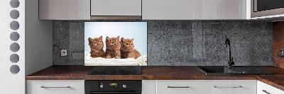 Pannello paraschizzi cucina con stampa di gattini su un asciugamano