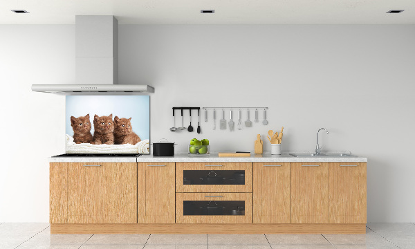 Pannello paraschizzi cucina con stampa di gattini su un asciugamano