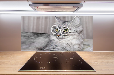 Rivestimento parete cucina con motivo di gatto con gli occhiali