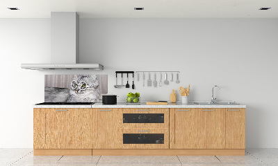 Rivestimento parete cucina con motivo di gatto con gli occhiali