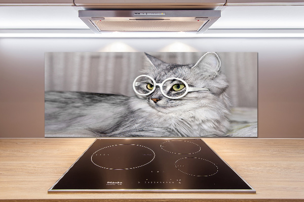 Rivestimento parete cucina con motivo di gatto con gli occhiali