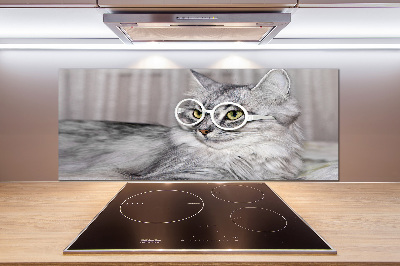 Rivestimento parete cucina con motivo di gatto con gli occhiali