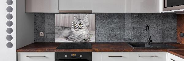Rivestimento parete cucina con motivo di gatto con gli occhiali