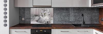 Rivestimento parete cucina con motivo di gatto con gli occhiali