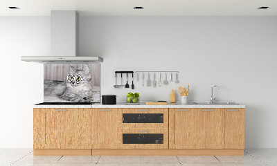 Rivestimento parete cucina con motivo di gatto con gli occhiali