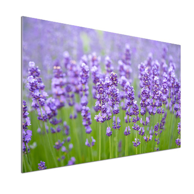 Rivestimento parete cucina con motivo lavanda