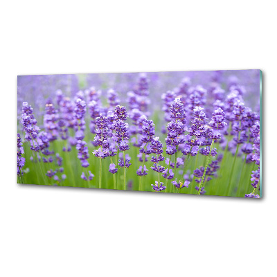 Rivestimento parete cucina con motivo lavanda