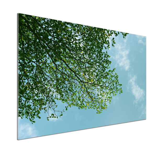 Rivestimento parete cucina con motivo Foglie nel cielo