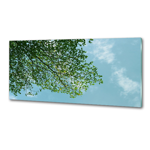 Rivestimento parete cucina con motivo Foglie nel cielo