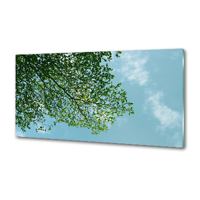 Rivestimento parete cucina con motivo Foglie nel cielo