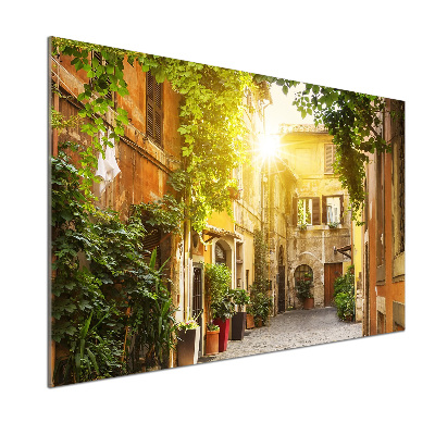 Pannello paraschizzi cucina con stampa 