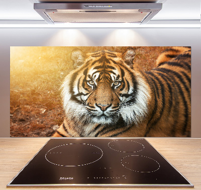 Pannello retrocucina con decorazione Tigre del Bengala