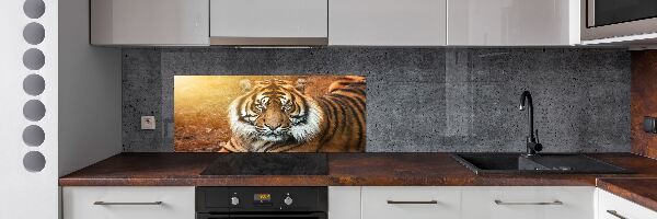 Pannello retrocucina con decorazione Tigre del Bengala