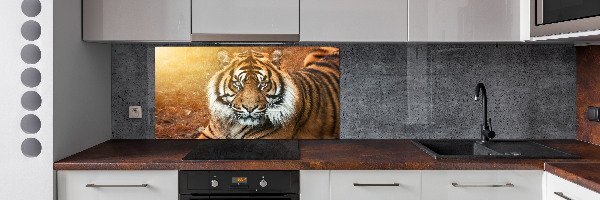 Pannello retrocucina con decorazione Tigre del Bengala