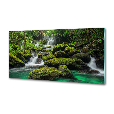 Pannello retrocucina con stampa Cascata nella foresta