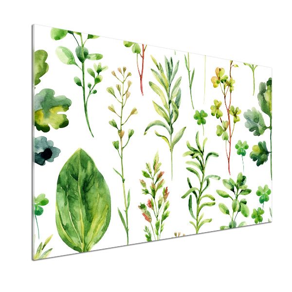 Pannello retrocucina con motivo di erbe e piante infestanti