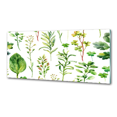 Pannello retrocucina con motivo di erbe e piante infestanti