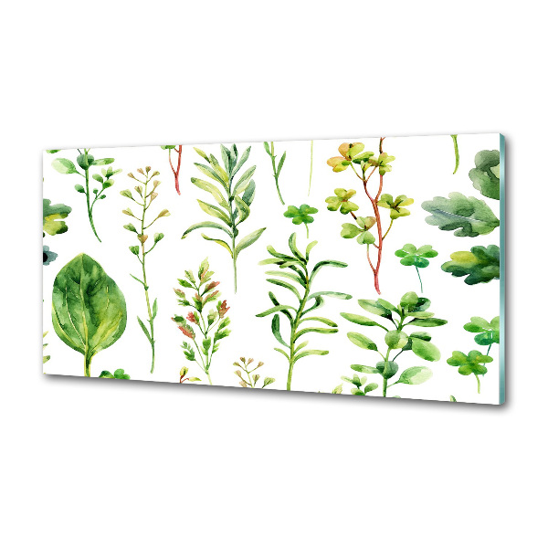 Pannello retrocucina con motivo di erbe e piante infestanti