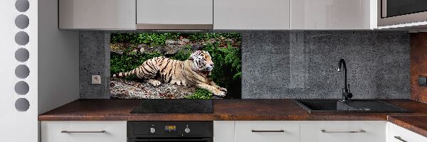 Pannello paraschizzi cucina con stampa di una tigre su una roccia