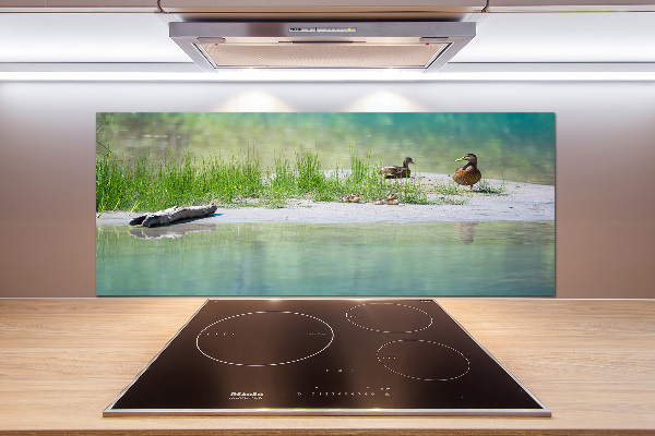 Pannello retrocucina con decorazione raffigurante anatre vicino all'acqua