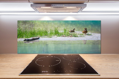 Pannello retrocucina con decorazione raffigurante anatre vicino all'acqua
