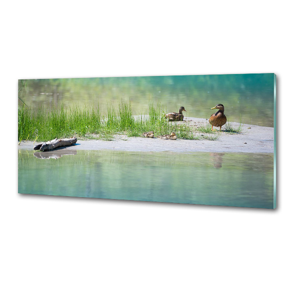 Pannello retrocucina con decorazione raffigurante anatre vicino all'acqua
