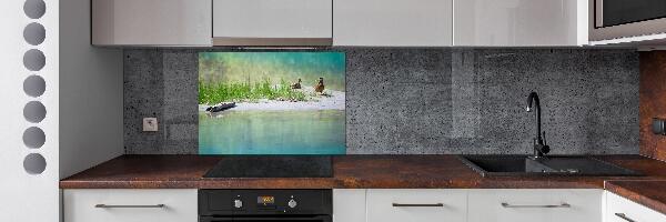 Pannello retrocucina con decorazione raffigurante anatre vicino all'acqua