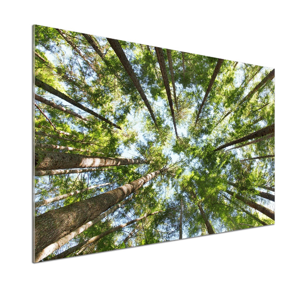 Pannello paraschizzi cucina con stampa 'Chioma dell'albero'