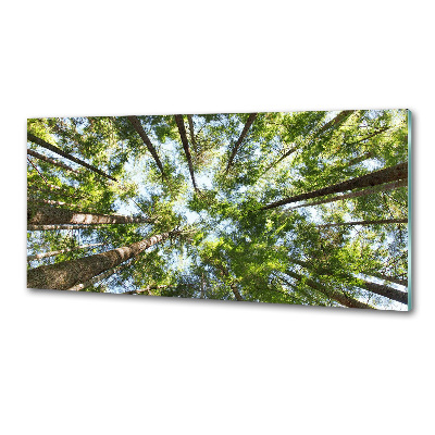 Pannello paraschizzi cucina con stampa 'Chioma dell'albero'