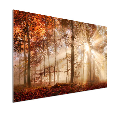 Pannello paraschizzi cucina con stampa 