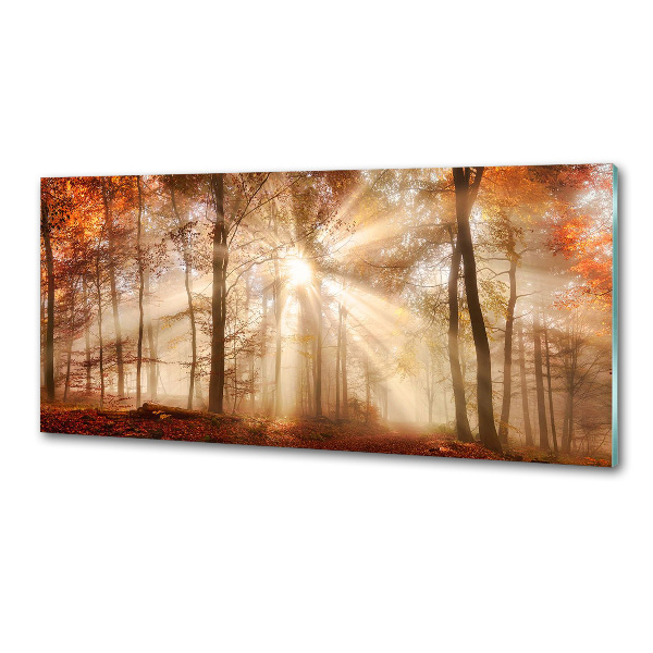 Pannello paraschizzi cucina con stampa 